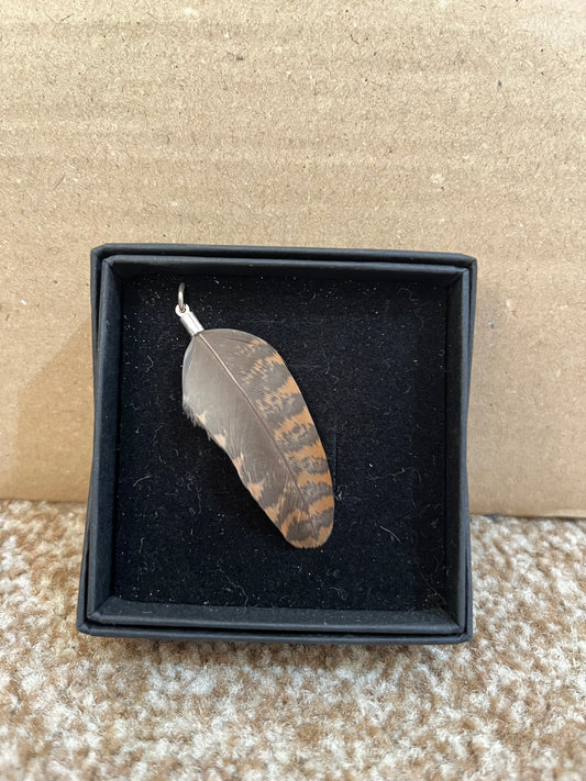 Woodcock Feather Pendant - Sample