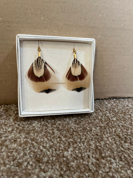 Pheasant Feather Earrings - Sample