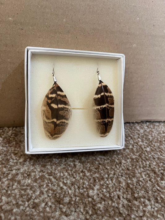 Hen Feather Earrings - Sample