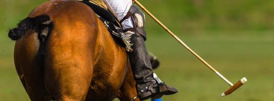 My Fancy Feathers is at the Polo this summer!