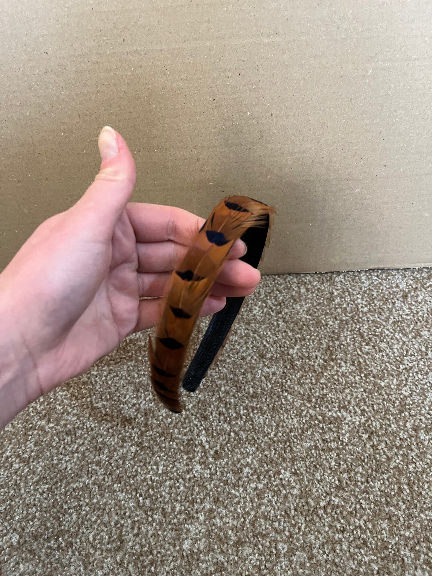 Charlotte Alice Band - Sample