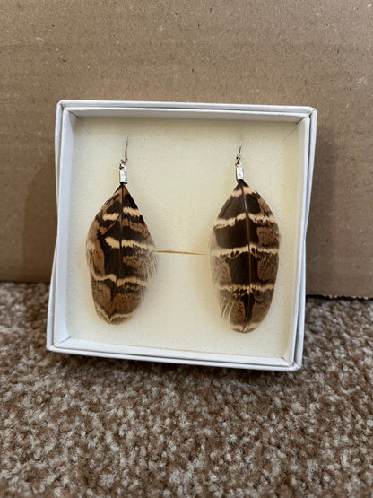 Hen Feather Earrings - Sample