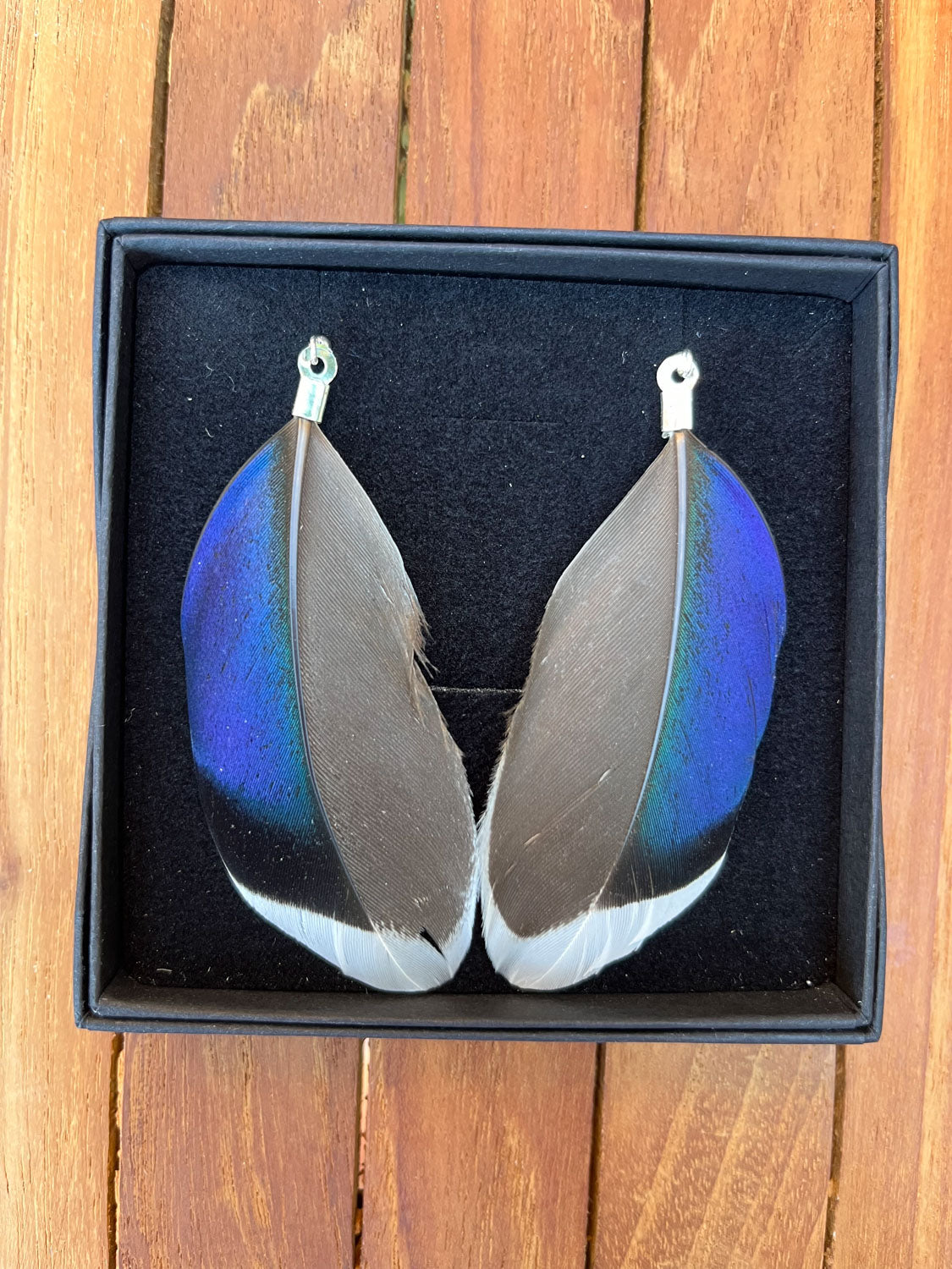 The Elizabeth, Feather Earrings